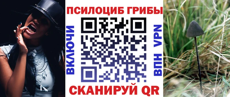 Купить где  Яровое  Псилоцибиновые грибы прущие грибы 
